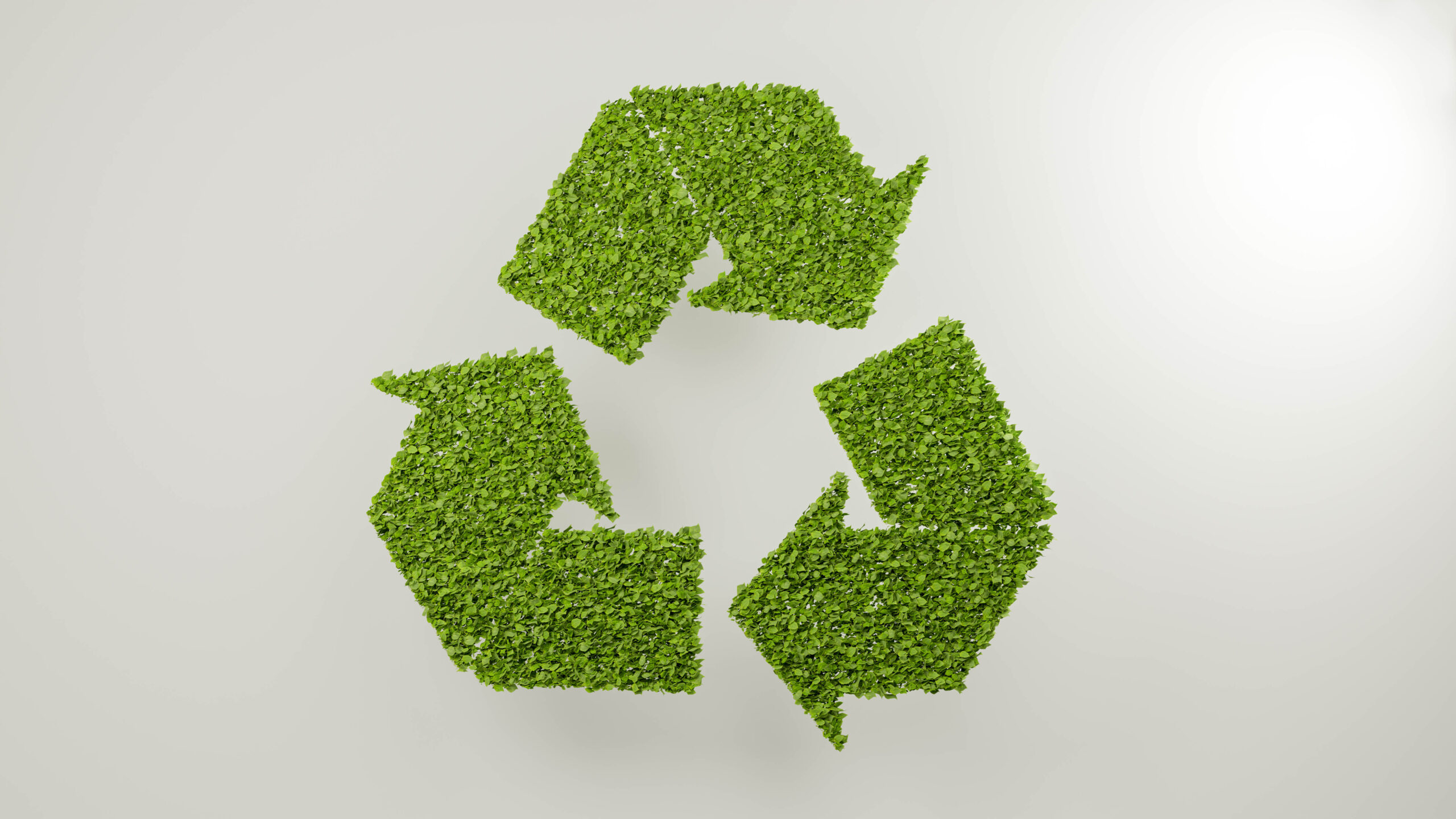 Geri Dönüşüm Nedir? Nasıl Yapılır? 1 3d rendering leaves forming recycle symbol green nature environment recycling abstract illustration background concept biodegradable plastic free package sign scaled